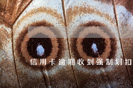 信用卡逾期收到强制划扣信息 信用卡逾期收到强制划扣信息