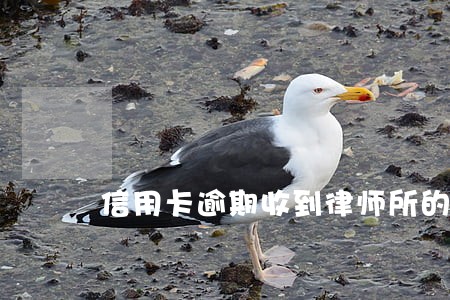 信用卡逾期收到律师所的短信