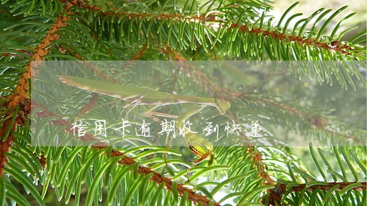 信用卡逾期收到快递 信用卡逾期收到快递