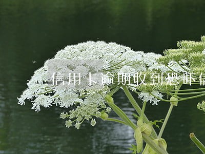 信用卡逾期收到恐吓信息