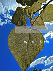 信用卡逾期收到报案信