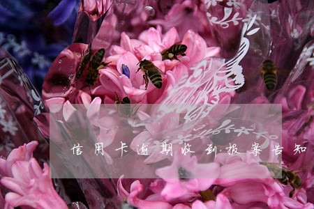 信用卡逾期收到报案告知函
