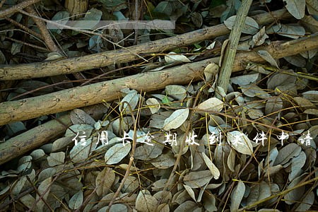 信用卡逾期收到案件申请开庭 信用卡逾期收到案件申请开庭