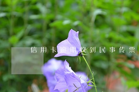 信用卡逾期收到民事传票了 信用卡逾期收到民事传票了