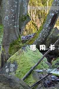 信用卡逾期收到民事起诉状草案 信用卡逾期收到民事起诉状草案