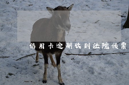 信用卡逾期收到法院传票不去会怎么样 信用卡逾期收到法院传票不去会怎么样