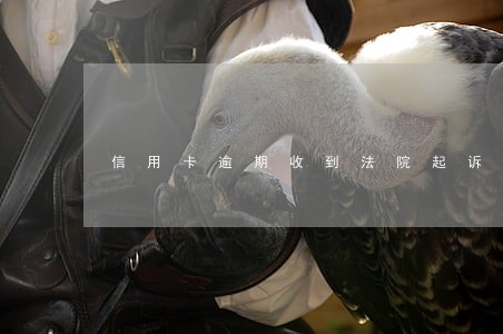 信用卡逾期收到法院起诉提醒函