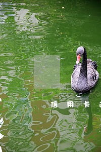 信用卡逾期收到法院通知 信用卡逾期收到法院通知