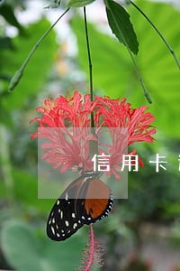 信用卡逾期收到浦发律师函 信用卡逾期收到浦发律师函