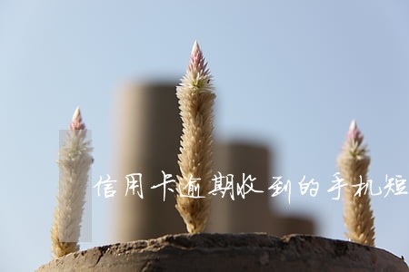 信用卡逾期收到的手机短信 信用卡逾期收到的手机短信