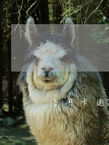 信用卡逾期收到监狱收监函 信用卡逾期收到监狱收监函