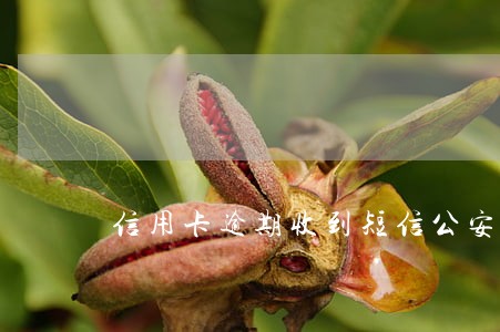 信用卡逾期收到短信公安报案