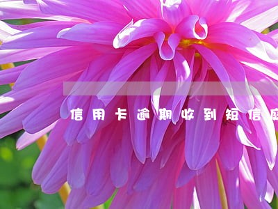 信用卡逾期收到短信庭前通知 信用卡逾期收到短信庭前通知