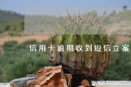 信用卡逾期收到短信立案公告 信用卡逾期收到短信立案公告