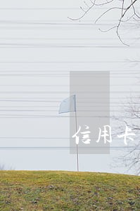 信用卡逾期收到短信立案通知