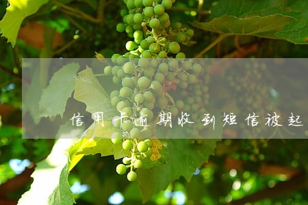 信用卡逾期收到短信被起诉 信用卡逾期收到短信被起诉