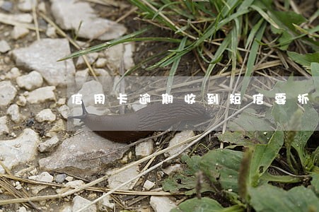 信用卡逾期收到短信要抓人 信用卡逾期收到短信要抓人