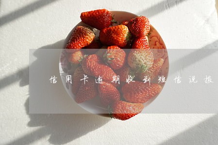 信用卡逾期收到短信说报案了 信用卡逾期收到短信说报案了