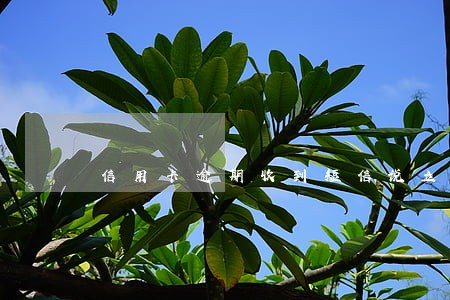 信用卡逾期收到短信说立案可 信用卡逾期收到短信说立案可
