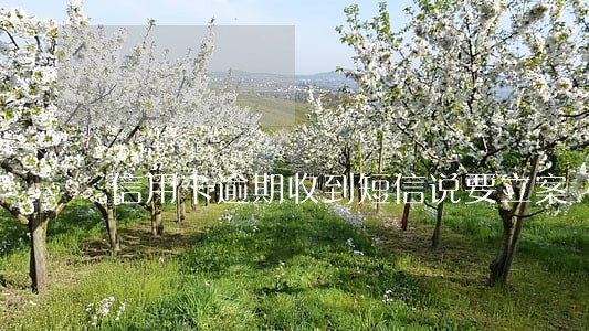 信用卡逾期收到短信说要立案 信用卡逾期收到短信说要立案
