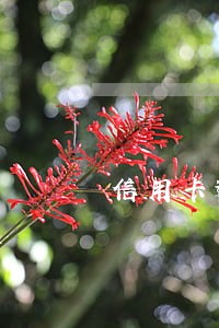 信用卡逾期收到短信说邮寄传票