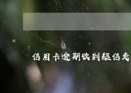 信用卡逾期收到短信走司法程序 信用卡逾期收到短信走司法程序