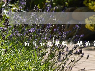 信用卡逾期收到短信逮捕是真的 信用卡逾期收到短信逮捕是真的