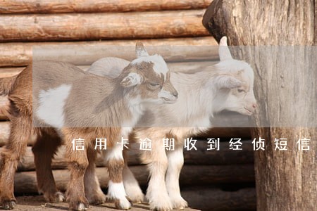 信用卡逾期收到经侦短信是真的吗 信用卡逾期收到经侦短信是真的吗