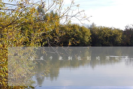 信用卡逾期收到经济犯罪立案通告 信用卡逾期收到经济犯罪立案通告