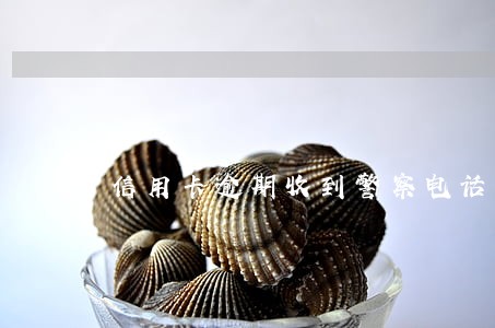 信用卡逾期收到警察电话 信用卡逾期收到警察电话