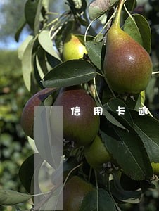 信用卡逾期收到说15号立案 信用卡逾期收到说15号立案