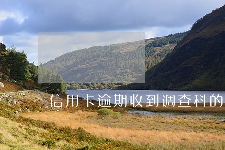 信用卡逾期收到调查科的电话 信用卡逾期收到调查科的电话