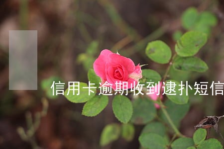 信用卡逾期收到逮扑短信 信用卡逾期收到逮扑短信