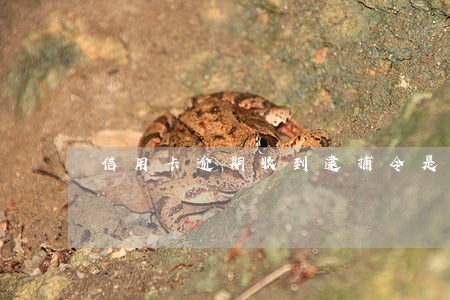 信用卡逾期收到逮捕令是真的吗 信用卡逾期收到逮捕令是真的吗