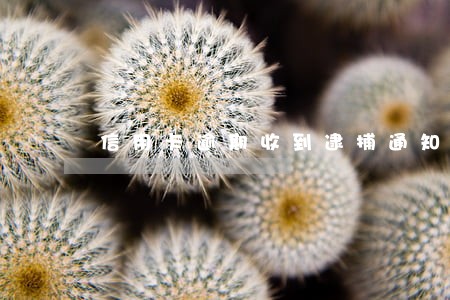 信用卡逾期收到逮捕通知