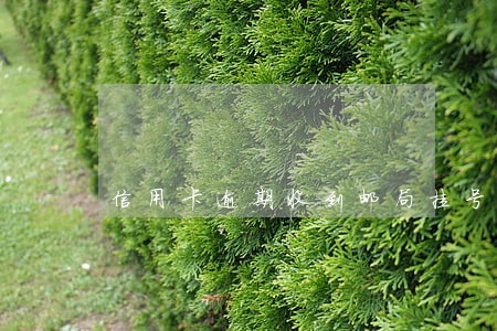 信用卡逾期收到邮局挂号信 信用卡逾期收到邮局挂号信