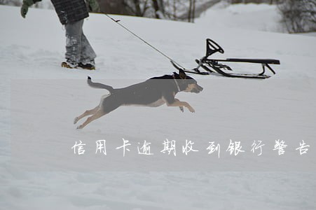 信用卡逾期收到银行警告函怎么办 信用卡逾期收到银行警告函怎么办