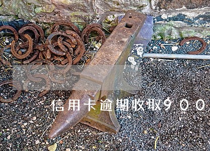 信用卡逾期收取9000合理吗 信用卡逾期收取9000合理吗