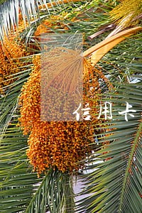 信用卡逾期收取违约金合法吗 信用卡逾期收取违约金合法吗
