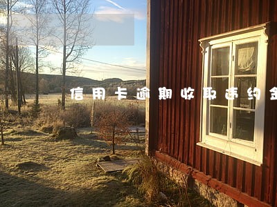 信用卡逾期收取违约金的规定 信用卡逾期收取违约金的规定