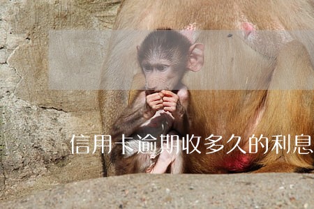 信用卡逾期收多久的利息