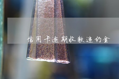 信用卡逾期收款违约金 信用卡逾期收款违约金