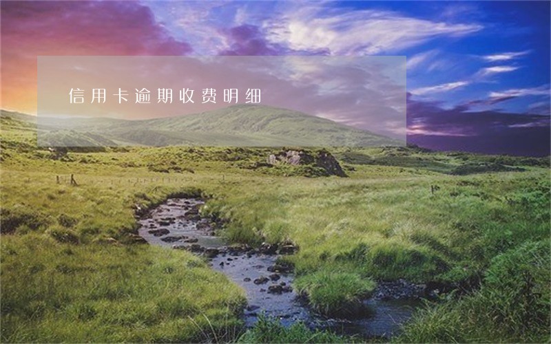 信用卡逾期收费明细 信用卡逾期收费明细