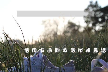 信用卡逾期收费消除靠谱吗 信用卡逾期收费消除靠谱吗