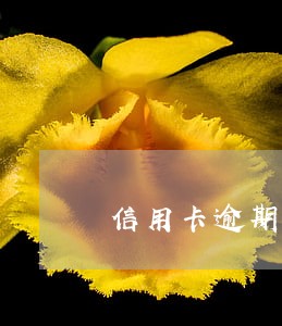 信用卡逾期收费高