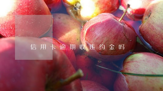 信用卡逾期收违约金吗 信用卡逾期收违约金吗