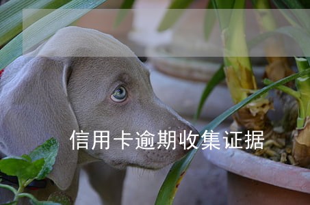信用卡逾期收集证据 信用卡逾期收集证据