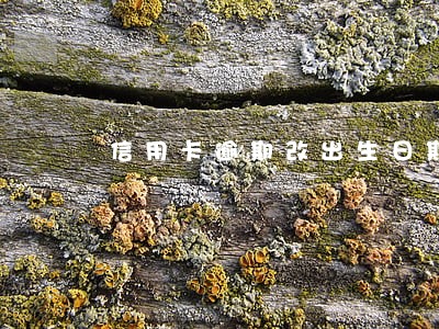 信用卡逾期改出生日期 信用卡逾期改出生日期