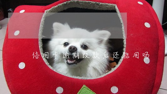 信用卡逾期改款后还能用吗