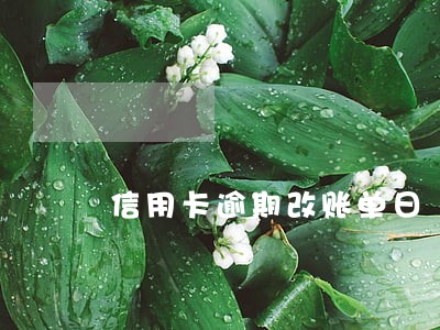 信用卡逾期改账单日